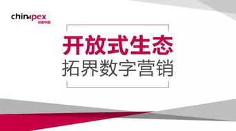 營(yíng)銷視角下程序化行業(yè)的開放 技術(shù)咨詢的深層剖析